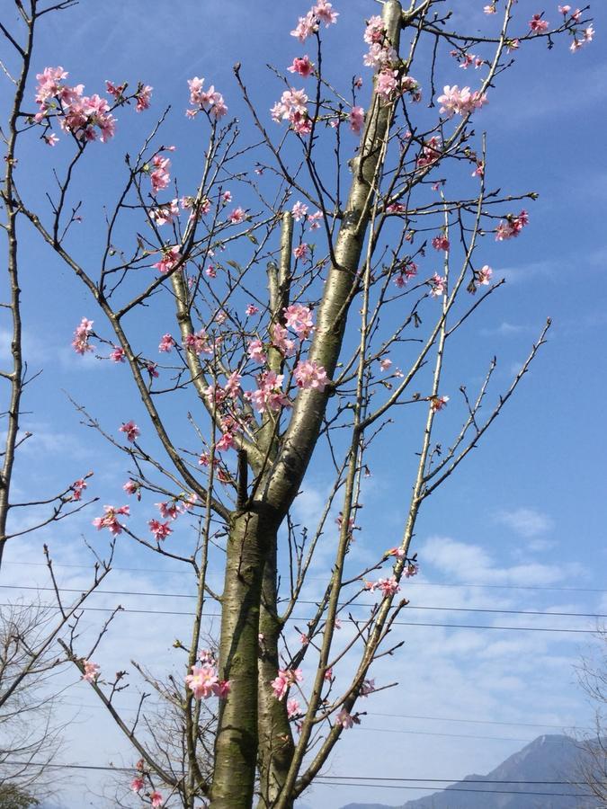 Lei Mi Er Hua Yuan Min Su Pinghe Exterior foto